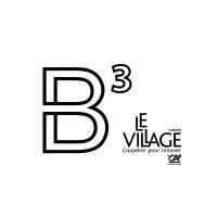 B3 Logo